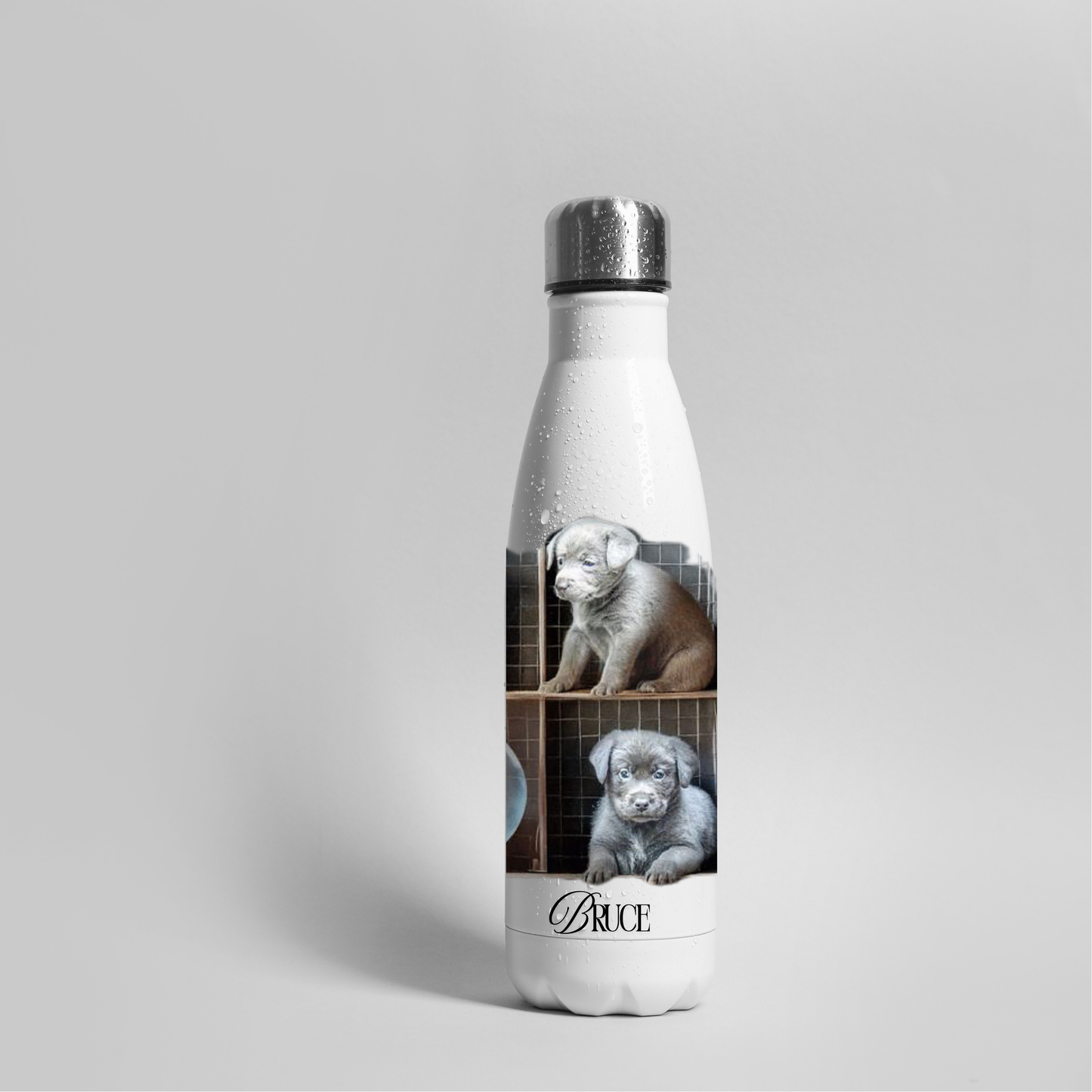 Custom Water Bottle