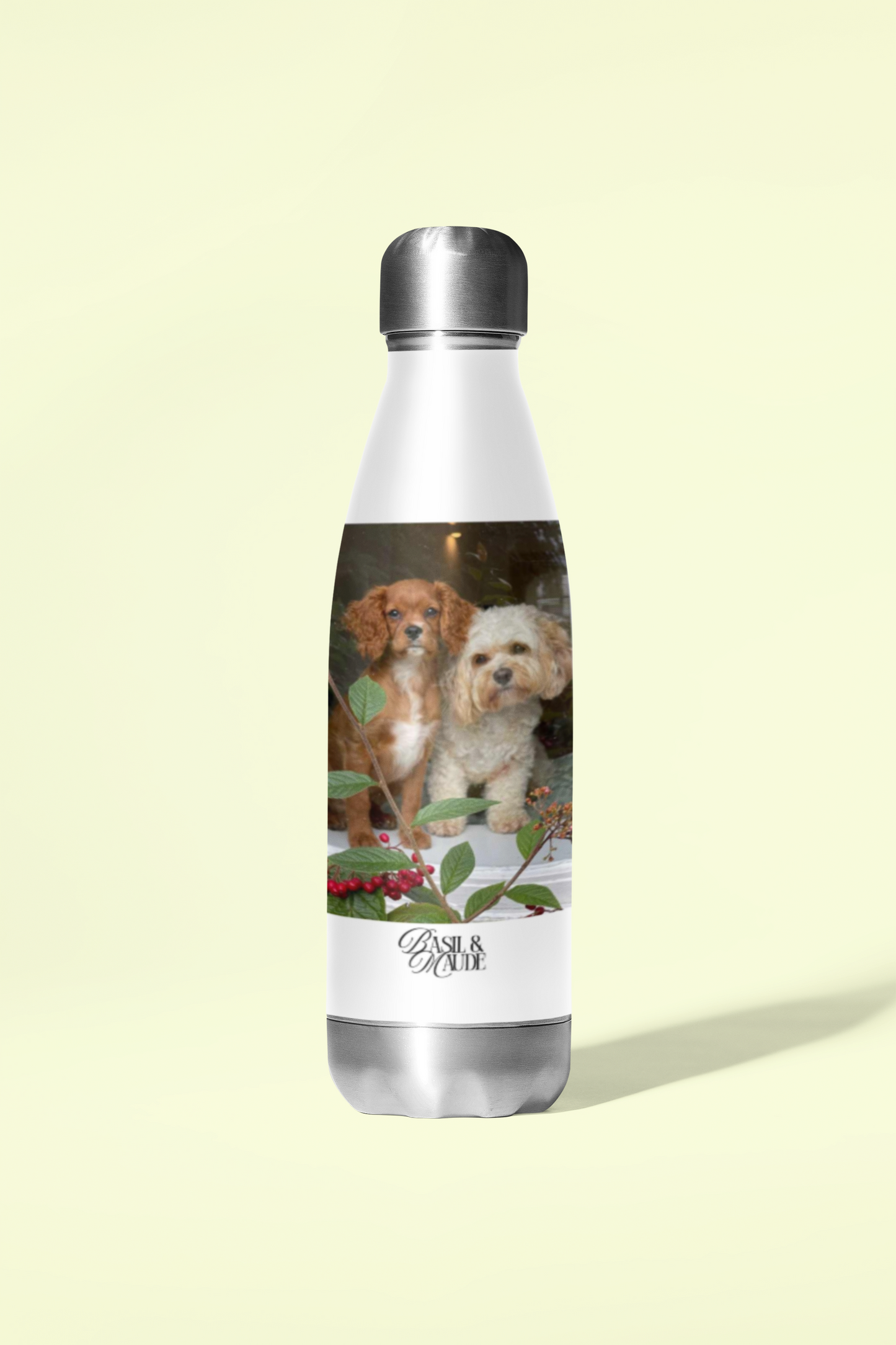 Custom Water Bottle